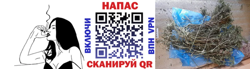 Конопля ГИДРОПОН  закладка  Богородск 